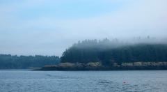 Roque Island fog